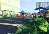 O Food Park cresceu e já está funcionando em oito regiões da cidade