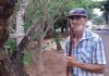 Agricultor combate escorpiões criando galinhas em área pública Combate a escopriões