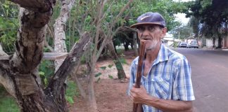 Agricultor combate escorpiões criando galinhas em área pública Combate a escopriões