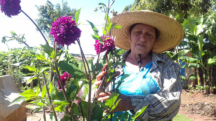 Agricultora Rosa Camargo, uma das responsáveis pela horta comunitária do Jardim Ciranda