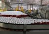 Fábrica da Coca-Cola FEMSA em Marília é a primeira a aderir à rotulação sustentável