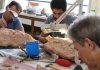 Museu de Marília estuda novos fósseis de aves encontrados na região