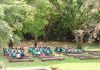 Saiba mais sobre o curso de férias do Jardim Botânico Curso de Férias do Jardim Botânico. (Foto: Divulgação/Jardim Botânico de Bauru)