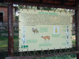 Já ouviu falar em exposição interativa? O Zoo de Bauru tem! Vem saber! Zoológico de bauru