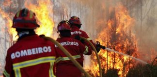 Hoje é dia do bombeiro: saiba mais sobre esta data