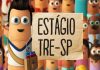 TRE-SP abre vagas de estágio TRE-SP lança edital de processo seletivo de estágio