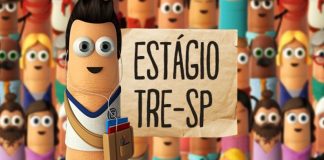TRE-SP abre vagas de estágio TRE-SP lança edital de processo seletivo de estágio