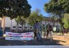 Feira de adoção realizada aos fins de semana em Marília orienta sobre posse responsável