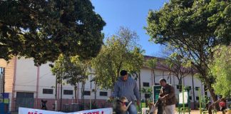 Feira de adoção realizada aos fins de semana em Marília orienta sobre posse responsável