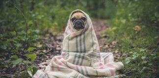 Ta chovendo? Tá! Ta frio? Tá também! Mas isso não é desculpa para você ficar em casa…