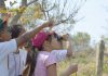 Alunos de escola municipal ajudam a catalogar pássaros na região do Cedro