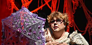 Companhia Amigos da Luz apresenta peça teatral espírita em Araçatuba no próximo domingo (15)