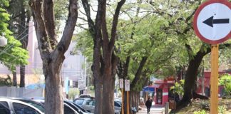Que tal ajudar a escolher as novas árvores que irão compor a arborização das calçadas de Bauru? (Foto: Divulgação/Prefeitura Municipal de Bauru)