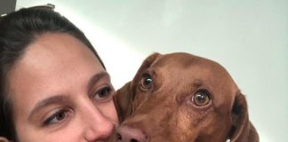 A advogada que aposentou o diploma para cuidar de animais advogada que cuida de animais