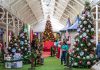 Agenda de Natal traz apresentações mágicas no Shopping Jardins