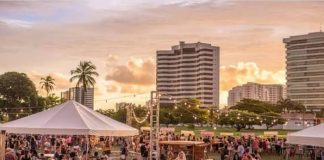 As feirinhas invadiram a cidade! Fim de semana repleto de atrações imperdíveis