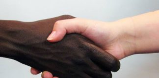 Funcap realiza programação especial com exposição sobre Consciência Negra Sergipana