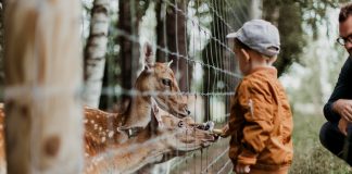 Inscrições para o curso de férias do Zoo terminam amanhã (11) inscrições