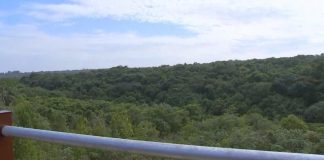 Bauru ganha mirante de mais de cinco metros com trilha incrível mirante