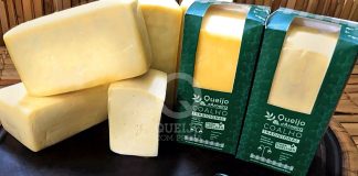 Queijos artesanais premiados são produzidos em zona rural de Sergipe. Conheça um pouco desta produção