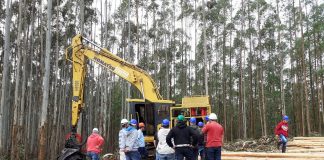 Agilis Treinamentos transforma profissionais em Itatinga