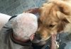 Cão Cidadão: a terapia do carinho