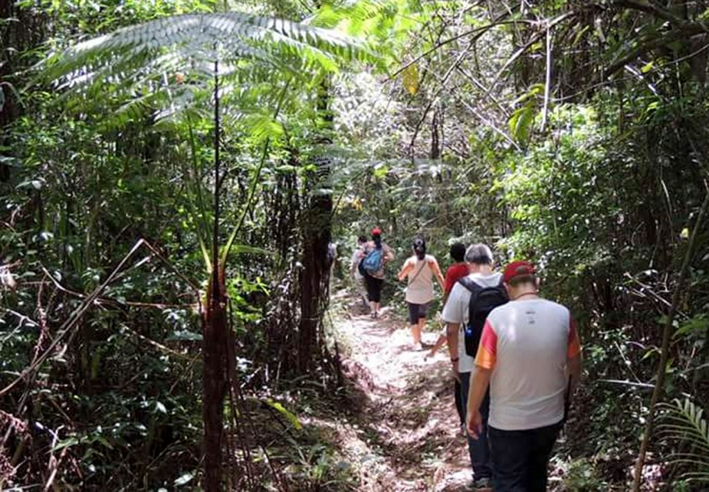 Foto de um grupo fazendo trilha na serra do japi.