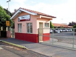Projeto Verde: alunos de Birigui que cuidam do planeta