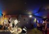Evento beneficente: Fest Dog é neste domingo