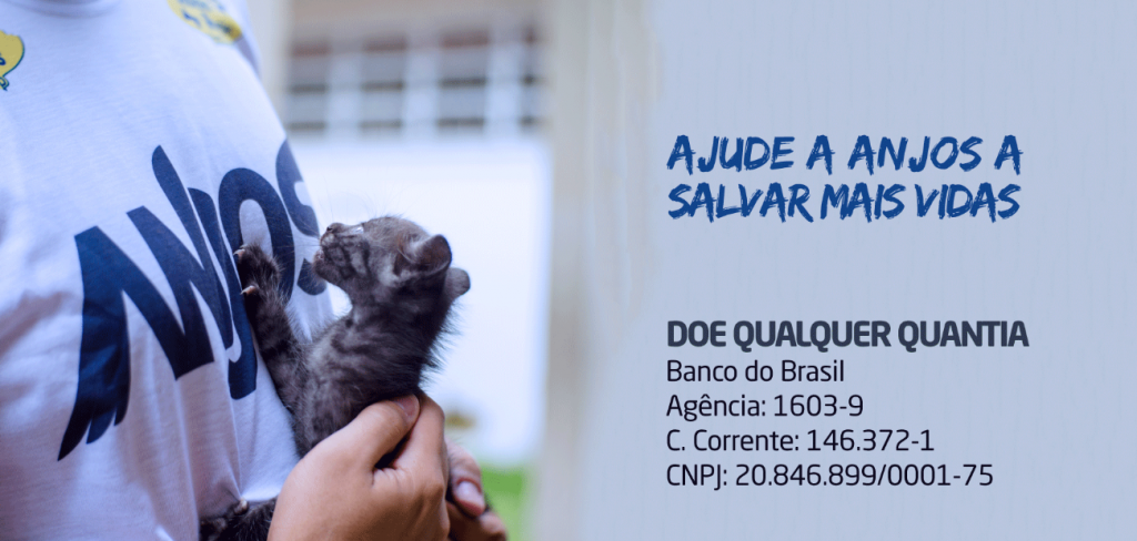 doação Aracaju