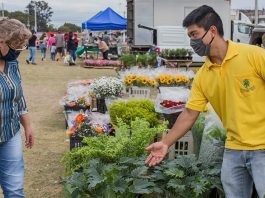 Feira Permanente de Flores e Plantas acontece todos os sábados em Atibaia