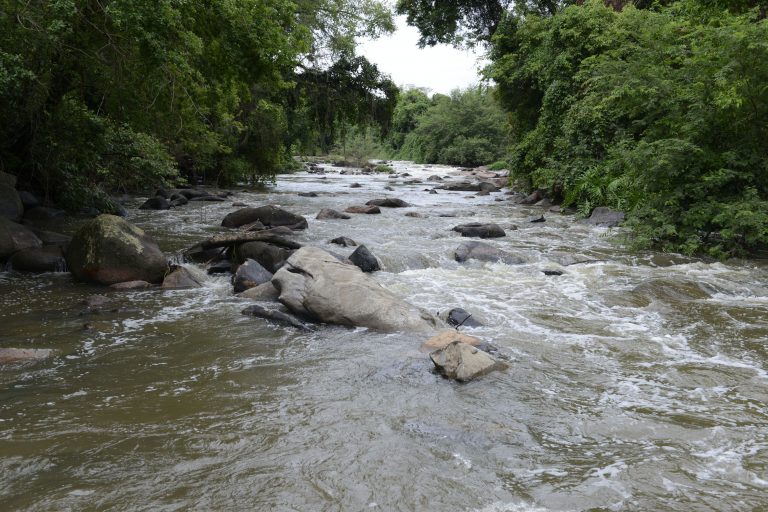 Histórico e o 1º no Brasil a ser despoluído: esse é o nosso Rio Jundiaí