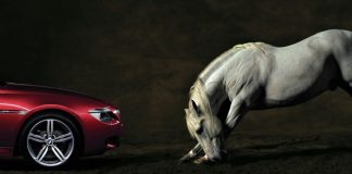 Cavalos de potência: a origem do termo e os carros mais velozes disponíveis em Lençóis Paulista