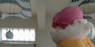 Sorvete de Bacalhau! Isso existe? Sorveteria em São João da Boa Vista inova em vários sabores