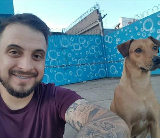 Comerciante jauense surpreende a população ao disponibilizar ração para cães de rua