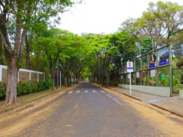 Dizem que ela é a rua mais bonita de Botucatu