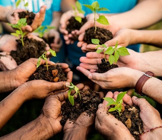 Garça mais verde! Plantio de Árvores gratuito anima moradores