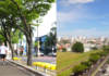 Dizem que ela é a rua mais bonita de Marília