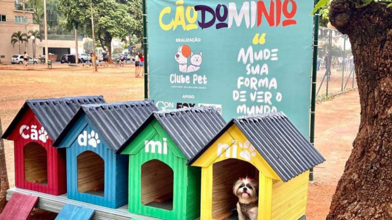 Praça em Araçatuba ganha “cãodomínio” para abrigar animais abandonados