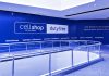 Vagas de emprego na Cellshop Duty Free! É a sua chance!