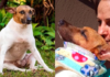Cachorrinho de Jaú, que venceu doença letal, graças a sua dona, tem mais de 200 mil seguidores