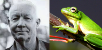 Cientista botucatuense descobriu mais 100 espécies da fauna Brasileira