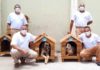 Para incentivar a adoção de animais, detentos confeccionam casinhas de madeira