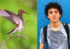 Apaixonado por animais e fotografia, estudante de Botucatu encanta com lindas imagens