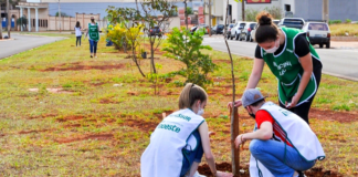Conheça o projeto ecológico que vai plantar 1000 árvores em Jaú durante o mês de Setembro