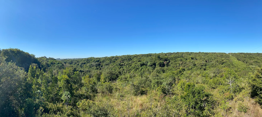 Vista do Mirante do Jardim Botânico de Bauru