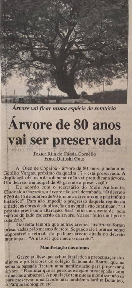 Recorte de jornal da década de 1990, época em que a Copaíba se tornou um patrimônio histórico de Bauru, e o projeto de duplicação da Getúlio Vargas foi modificado para incluir a árvore. De Copaíba a Pau-Brasil, Bauru tem mais de 200 árvores tombadas como patrimônio histórico