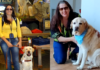 Amizade em 4 patas: o cão guia que virou o melhor amigo de moradora de Marília