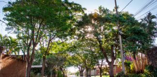 Dizem que ela é a rua mais bonita de Lins