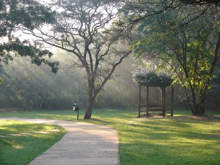 Espaço ao ar livre no Jardim Botânico de Bauru. 5 espaços públicos para curtir com as crianças em Bauru